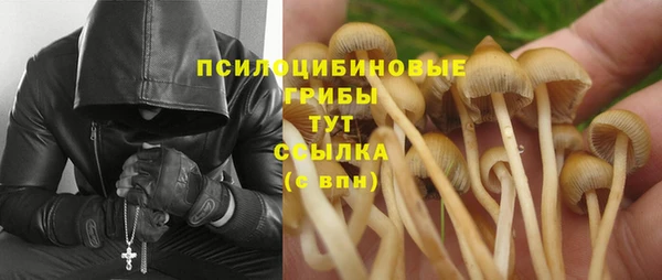 2c-b Алексин