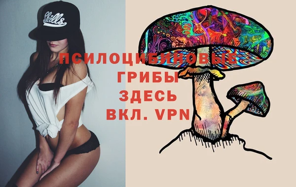 2c-b Алексин